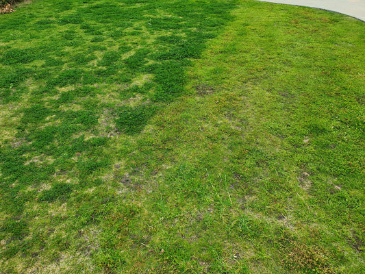 weed killer lawn herbicide