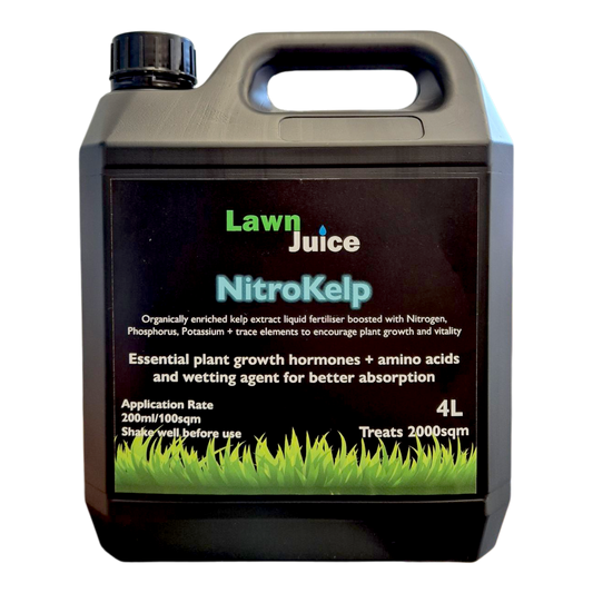 Lawn Juice NitroKelp