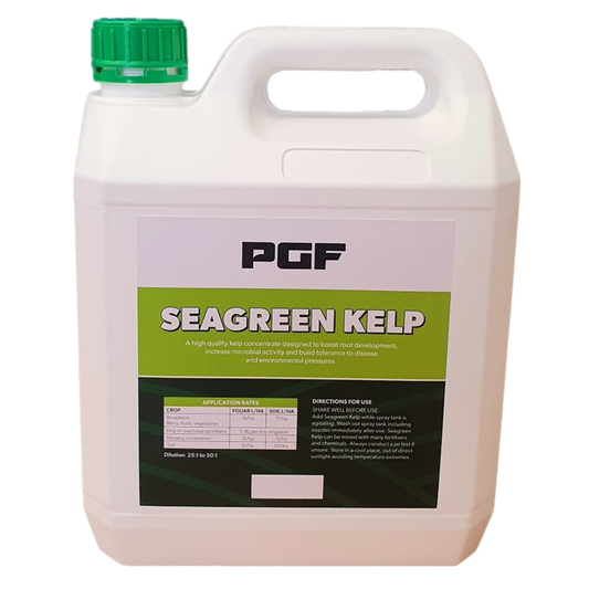 PGF SeaGreen Kelp