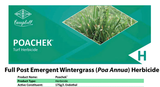 Poachek (Wintergrass Herbicide)