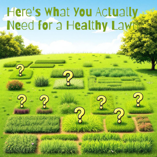 Looking for a Grass Supplier in Perth? Don’t Forget the Lawn Supplies That Keep It Green