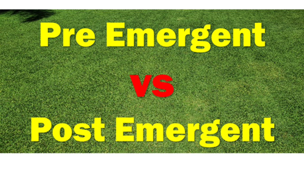 Pre-emergent vs Post-Emergent Herbicide