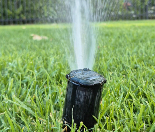 How Long Should You Run Your Sprinklers? (Plus the Catch Cup Test Explained)
