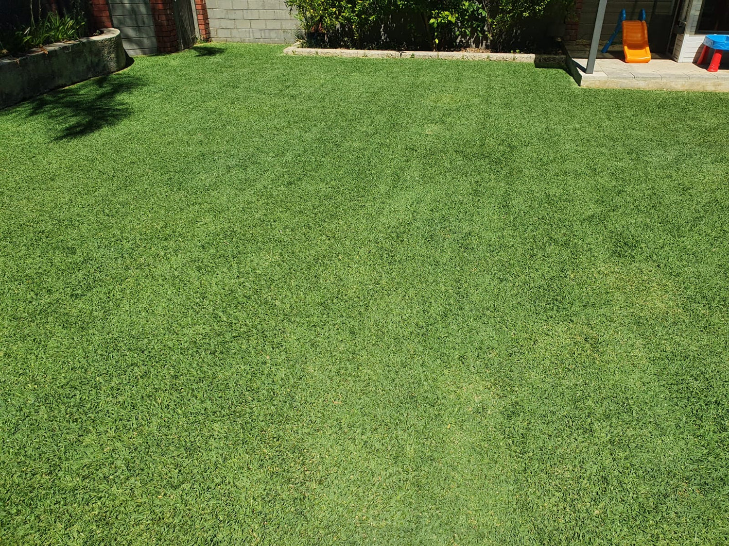Shop by Lawn Type