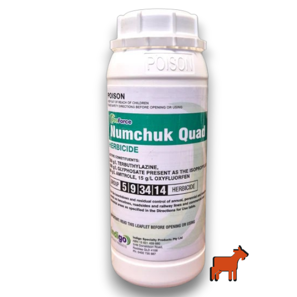 Numchuk Quad