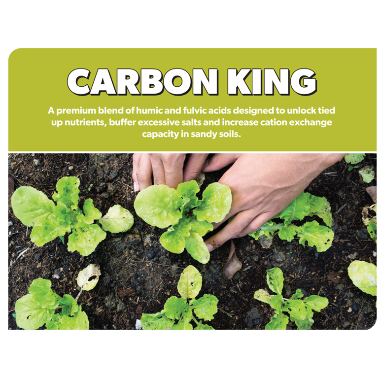 PGF Carbon King