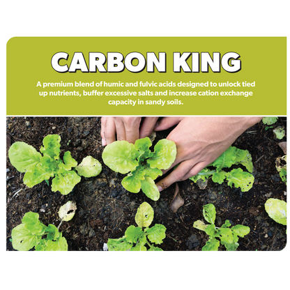 PGF Carbon King